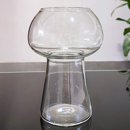 Mushroom Glass