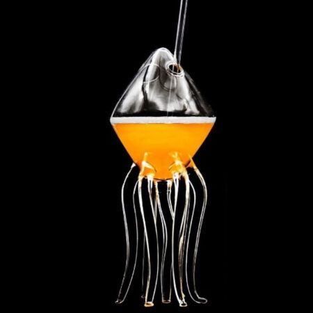 Hand-blown Jelly Fish Glass with transparent dome and flowing glass tendrils — ocean-inspired artistic drinkware by The Glash